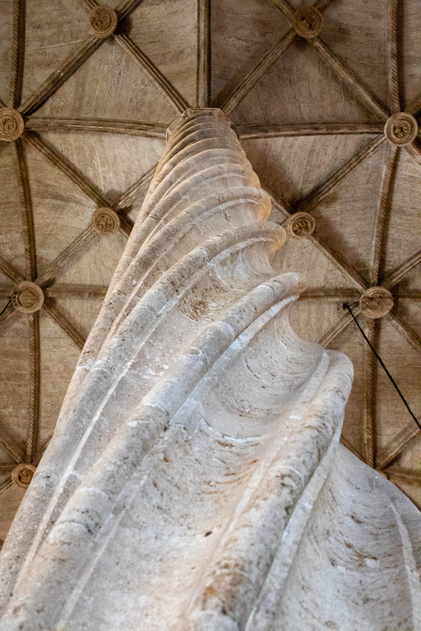 Columna del interior de la Lonja de la seda de Valencia