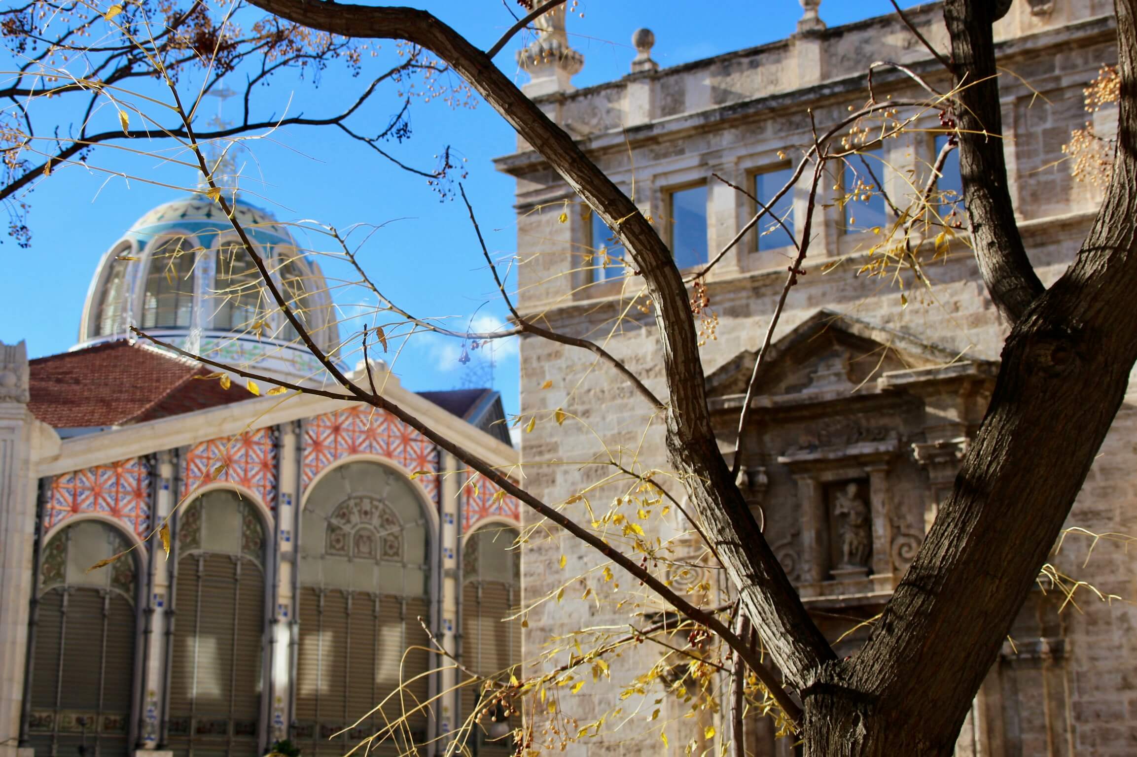 Lonja de la seda y mercado central de Valencia