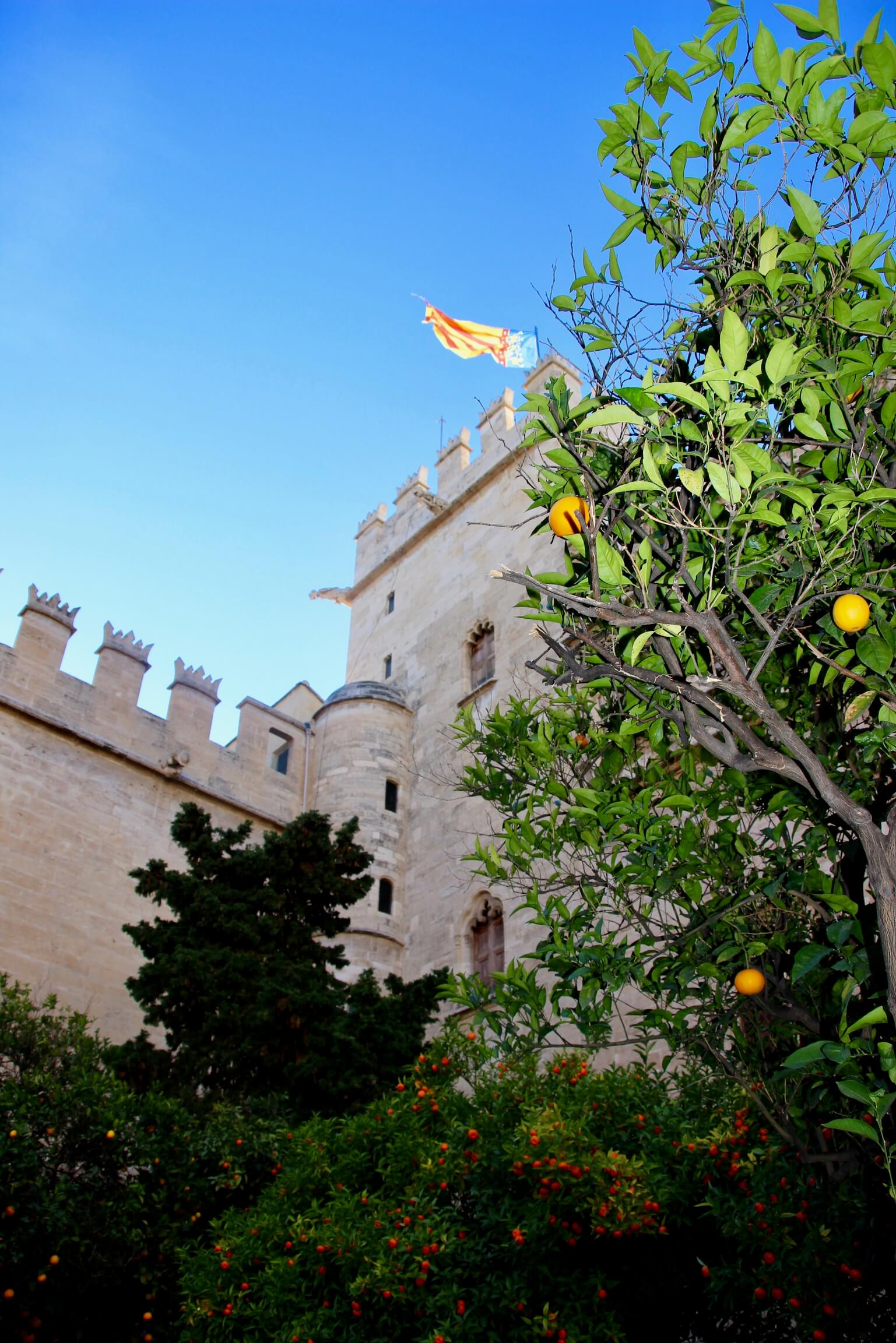 Patio de los naranjos de la Lonja de la Seda de Valencia